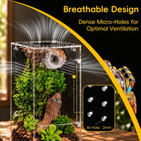 Jumping Spider Enclosure Starter Kit - Clear / Small - image 4