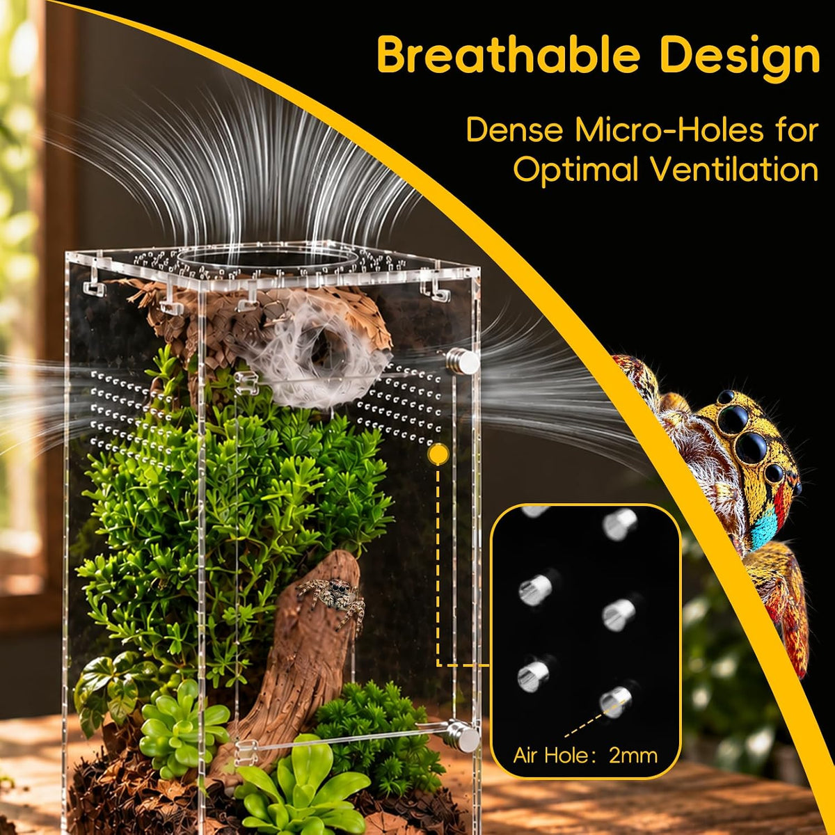 Jumping Spider Enclosure Starter Kit - Clear / Small - image 4