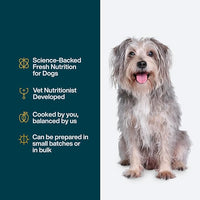 JustFoodForDogs DIY Nutrient Blend for Homemade Dog Food, Chicken & White Rice