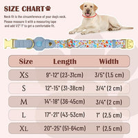 AirTag Dog Collar for Small Medium Large Breed - Adjustable Cute Pattern Dog Collar with Airtag Holder - Soft Leather Tracker GPS Apple Air Tag Pet Collars (Small, 12"-15" Neck Fit, Floral)