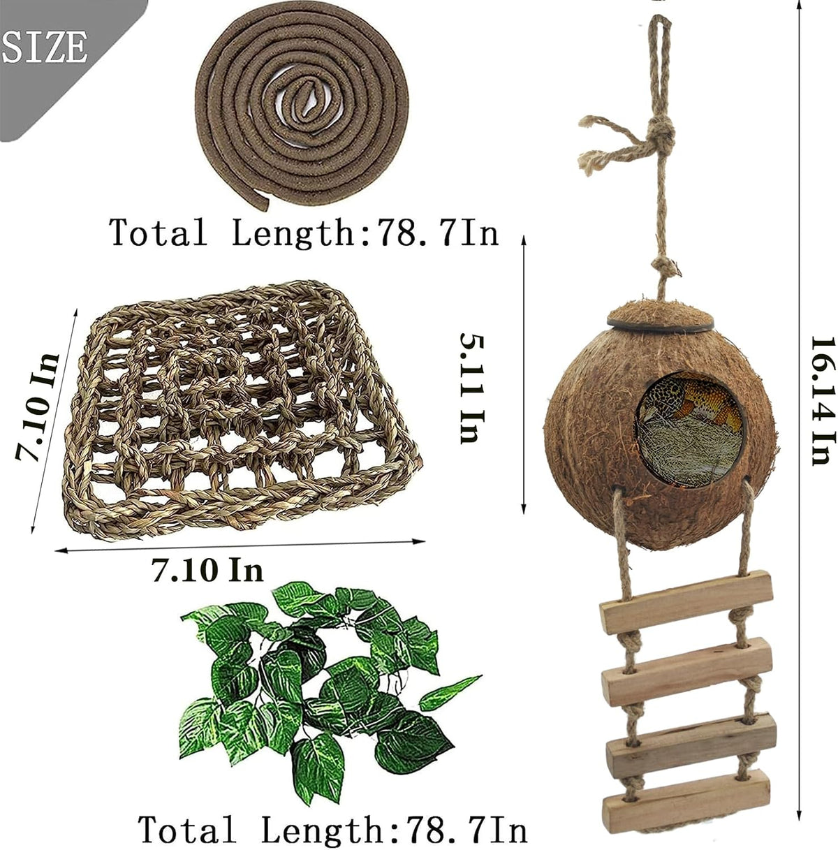 Lizard Coco Den with Ladder - 【Style B】 / 【With Ladder】 - image 3
