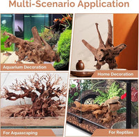 Natural Driftwood for Aquarium 12"-16" Large Aquarium Coral Wood Decor | Single Piece for Fish Tank Landscaping, Reptile Terrarium Climbing Branch, Freshwater Aquatic Wood Aquascaping