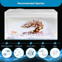 Harmony Aquatic Tank by Clairnara - Harmony Legend - iF Design Award Winning 10 Gallon All-in-One Aquarium (White Tank with Cedar Grain top, Harmony Legend)