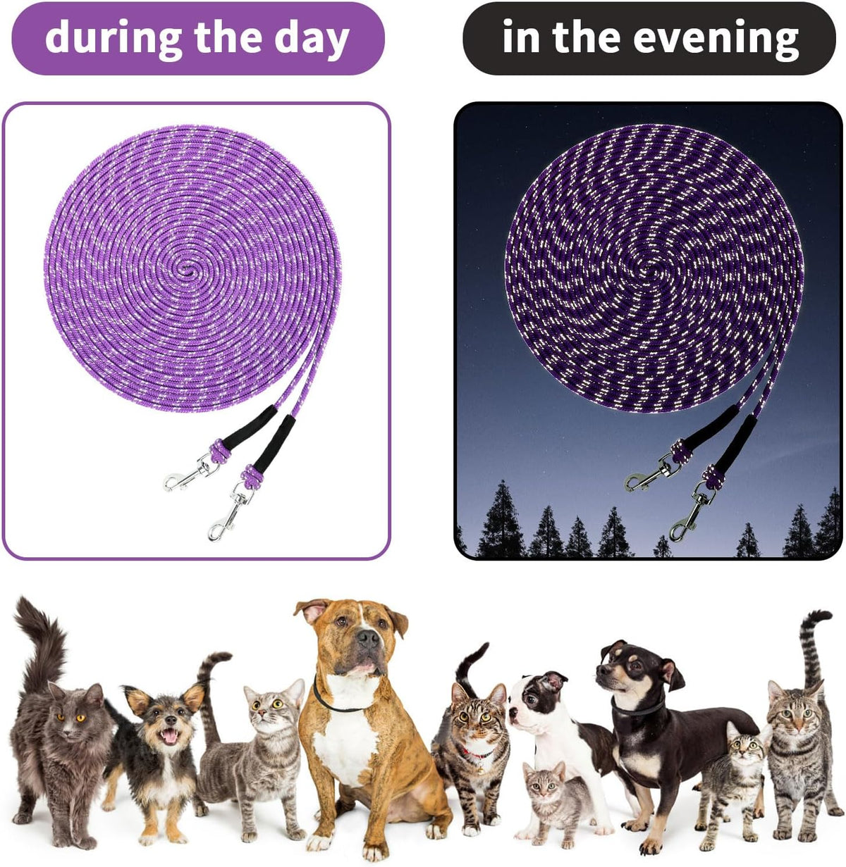 Reflective Cat Long Leash 15 FT - 15 FT / Purple - image 3