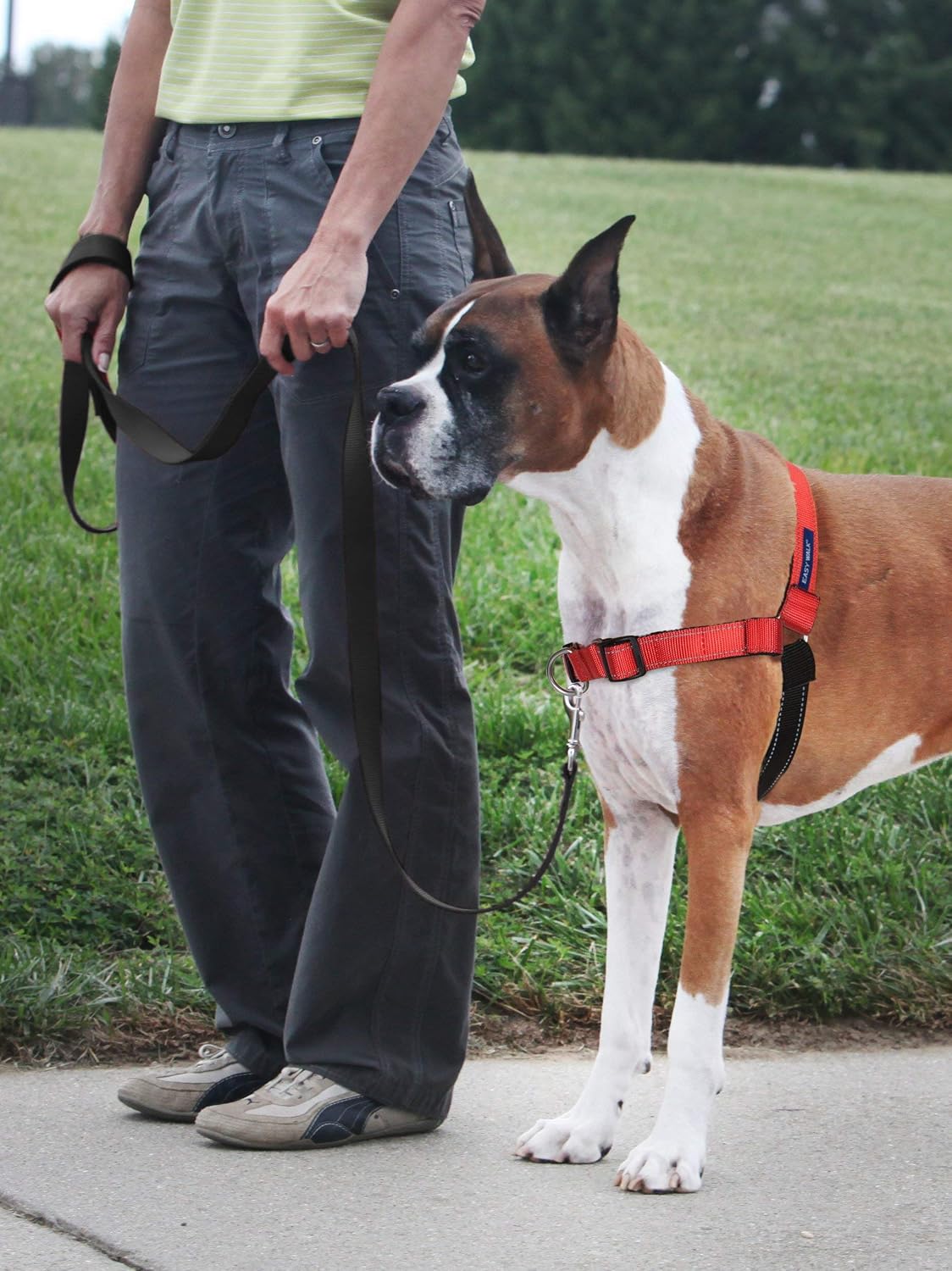PetSafe Easy Walk Deluxe Dog Harness, No Pull Dog Harness - Medium/Large / Rose Red - image 2