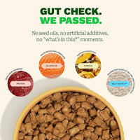 Get Joy Gut Health Fresh Freeze Dried Raw Meal, Beef Recipe, 16 Ounce Bag, Dog Food for Dogs of All Breeds and Life Stages, PhD Animal Nutritionist Formulated, USDA Beef, Made in USA