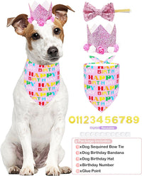 PET SHOW Pink Crown Dog Birthday Party Hat for Girls Reusable - Pink Set - image 4
