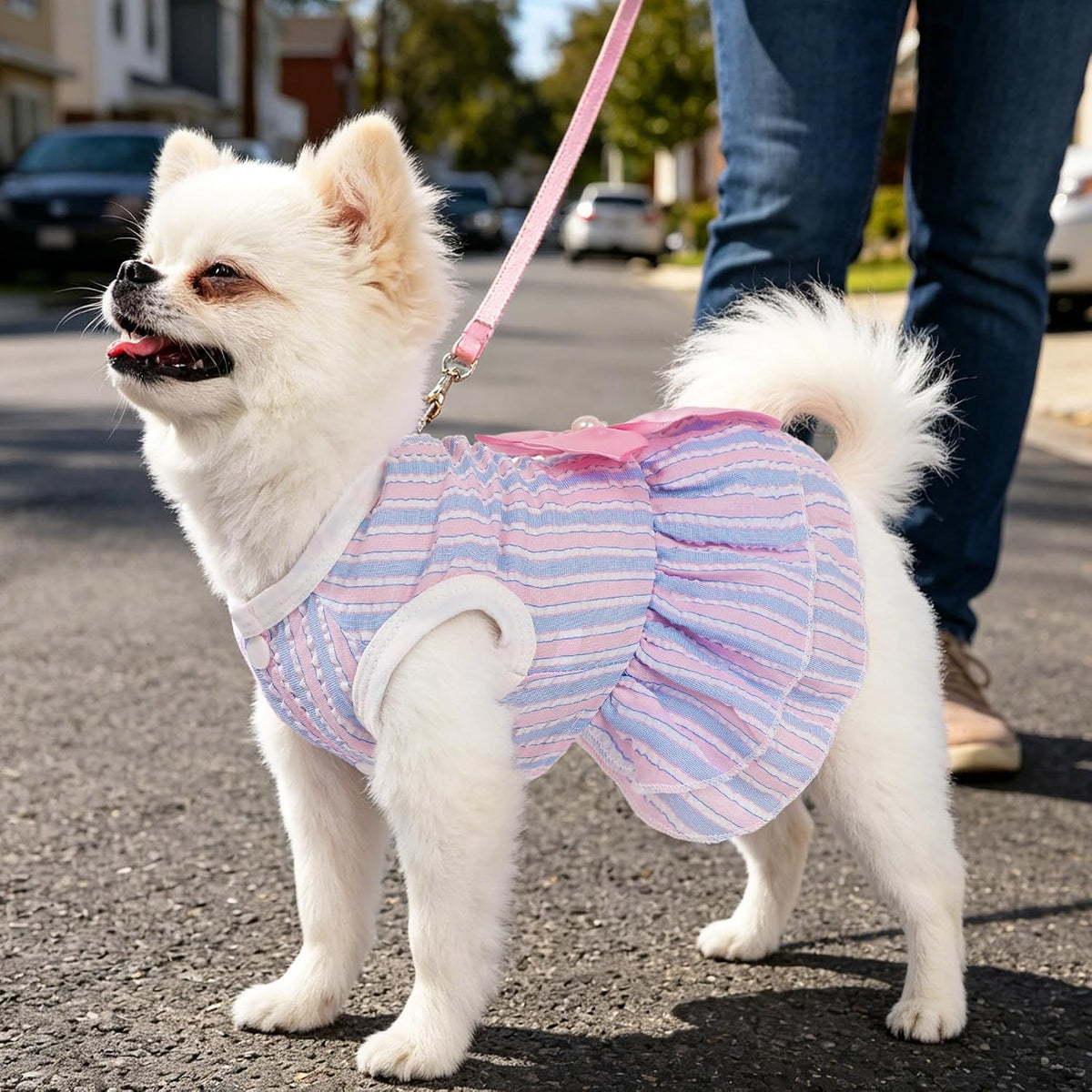 Dog Dress, Cute Pet Princess Dresses with Bright Color Design - Pink Purple / XX-Small - image 2