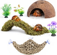 HERCCOCCI Hermit Crab Accessories