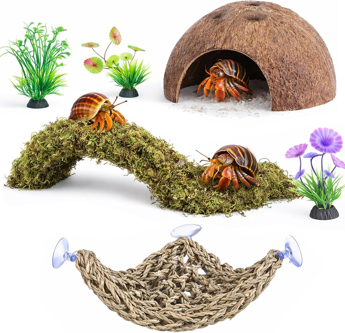 HERCCOCCI Hermit Crab Accessories