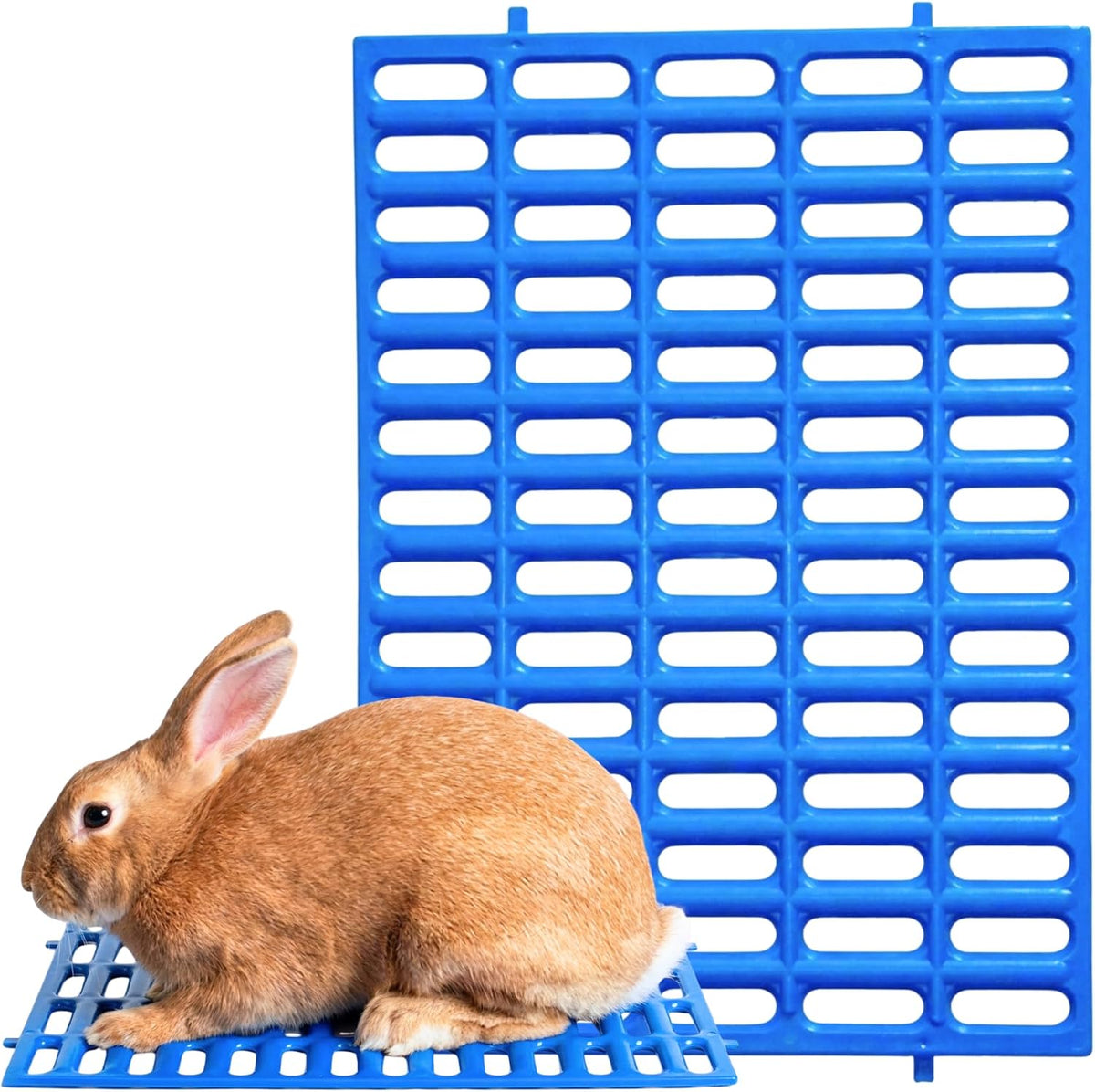 Premium Plastic Rabbit Cage Mats, 15x10 Mat - 15"L x 10"W / Blue