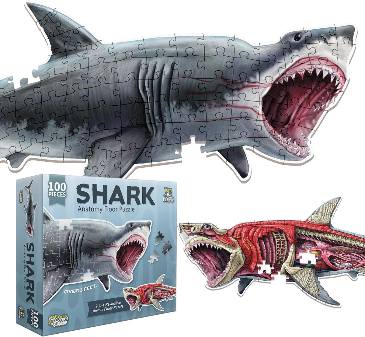 Genius Games shark anatomy floor puzzle showing a great white shark and its anatomy - view 4