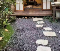 3lb Cactus Pea Gravel Rocks - 45LB / Black Galaxy - image 2