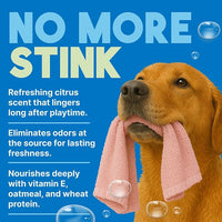 TropiClean Dog Perfume, Long Lasting Lime & Coconut Cologne, Deodorizing Spray for Smelly Dogs, After Bath Detangling Spray with Vitamin E, Safe for Cats, 8oz.