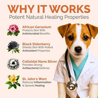 Hot Spot & Itch Relief Skin Cream for Dogs & Cats | Fast & Lasting Relief | Treats the Source | Natural Ingredients & Colloidal Silver | Vet-Recommended | Safe & Non-Toxic | Made in USA (2oz)