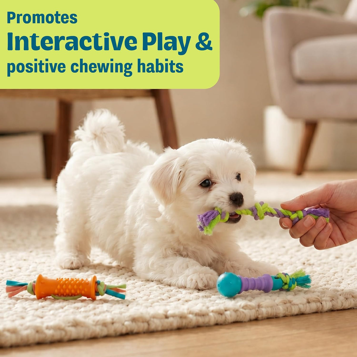 Cool Teething Stick Dental Dog Chew Toy, Soak & Freeze, 8.5" – Essentials for Dogs - Dental Chew - image 4