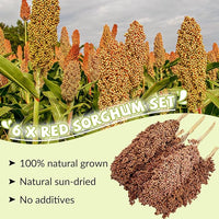Fhiny Millet Spray for Birds, 6 PCS Natural Sun-Dried Red Sorghum Grain for Birds Seed Original Parrot Treats & Supplement Parakeet Food for Cockatiels Lovebirds Finches Budgies Pigeons Hamsters