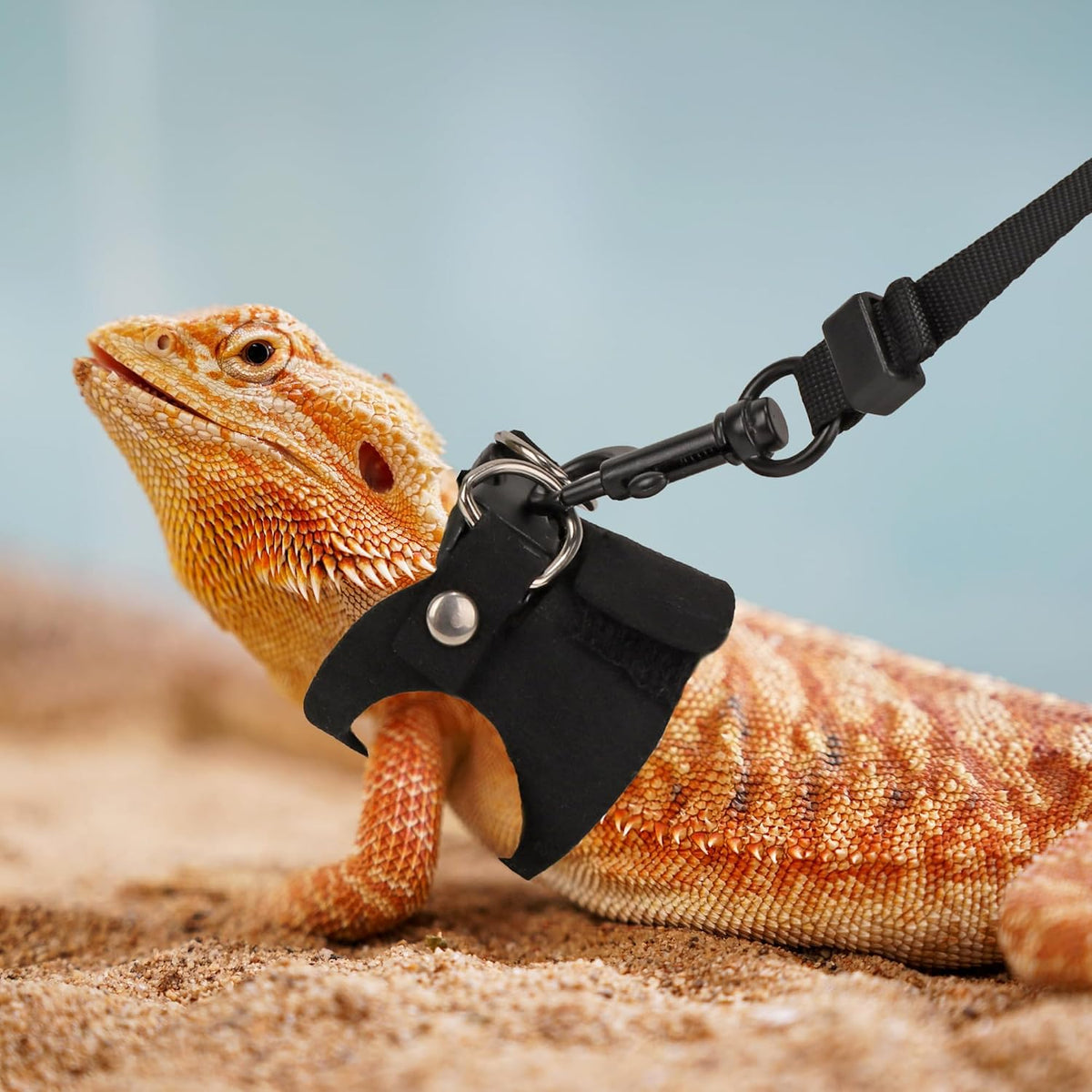 Bearded Dragon Harness Leash Set, 3 Size Lizard Harness - Black - image 2