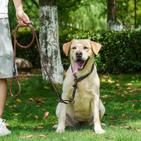 Rope Dog Leash, 6 Foot Heavy Duty Dog Leash with Aviation Aluminum Auto Locking Carabiner, Strong Nylon Pet Lead for Small, Medium, Large Dogs (Brown, 6FT)