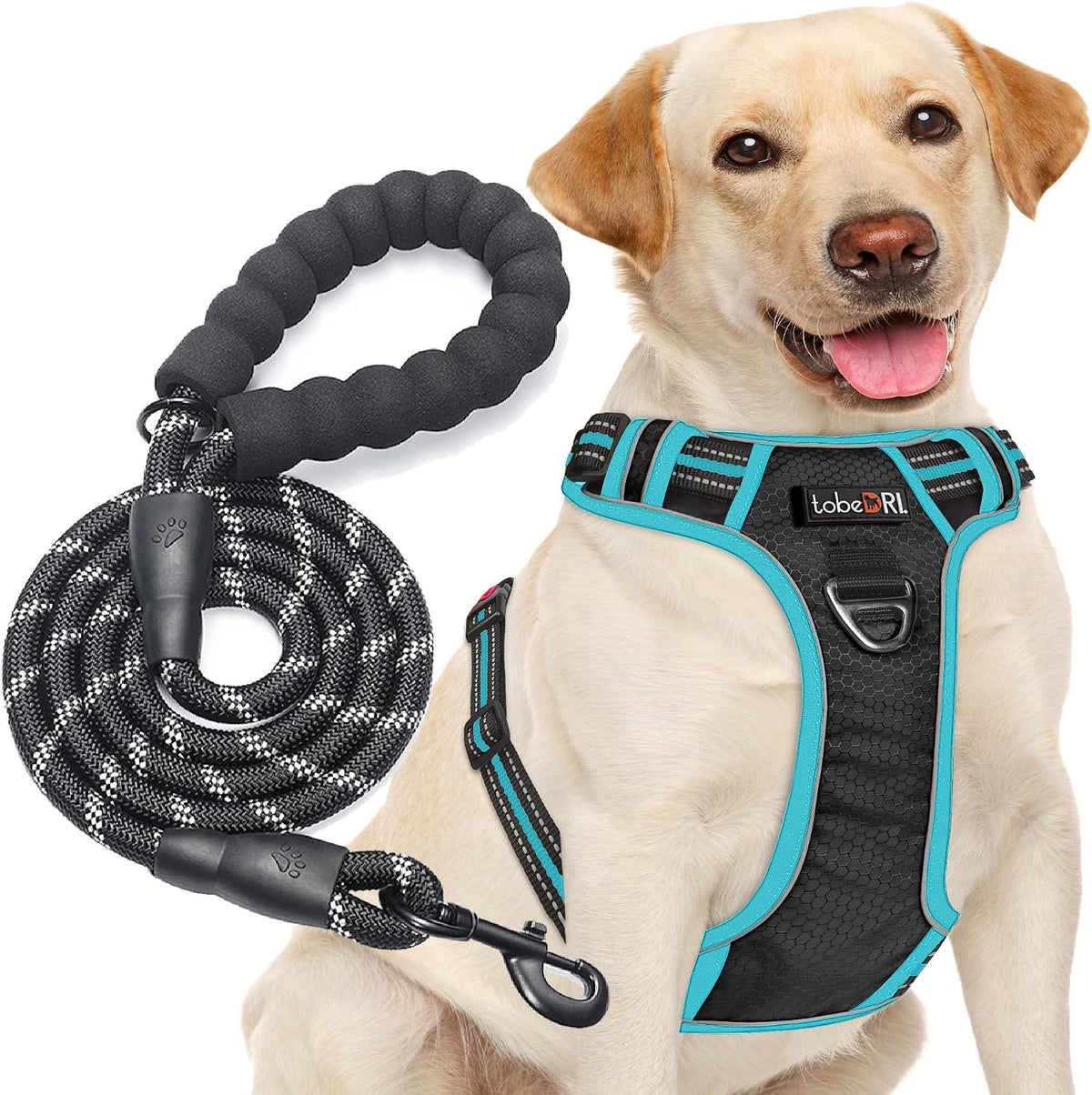 tobeDRI No Pull Dog Harness Adjustable Reflective Oxford Easy Control - Black/Blue / Large