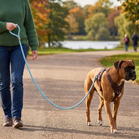 Mile High Life Dog Leash, with Padded Handle - Sky Blue / 6 Feet - image 2