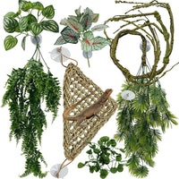 Reptile Plants for Bearded Dragon Tank Accessories - Group En
