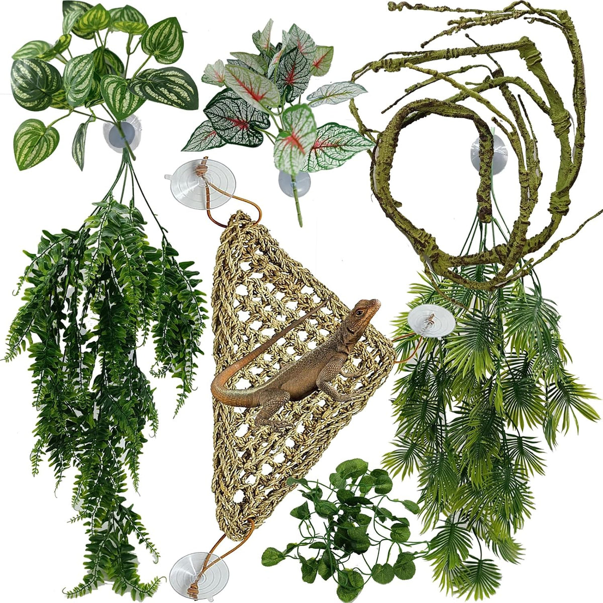 Reptile Plants for Bearded Dragon Tank Accessories - Group En