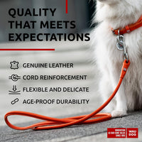 WAUDOG Rolled Leather Dog Leash 4Ft * 0.3 in for Small Medium - Orange / 4Ft * 0.3 in - image 3