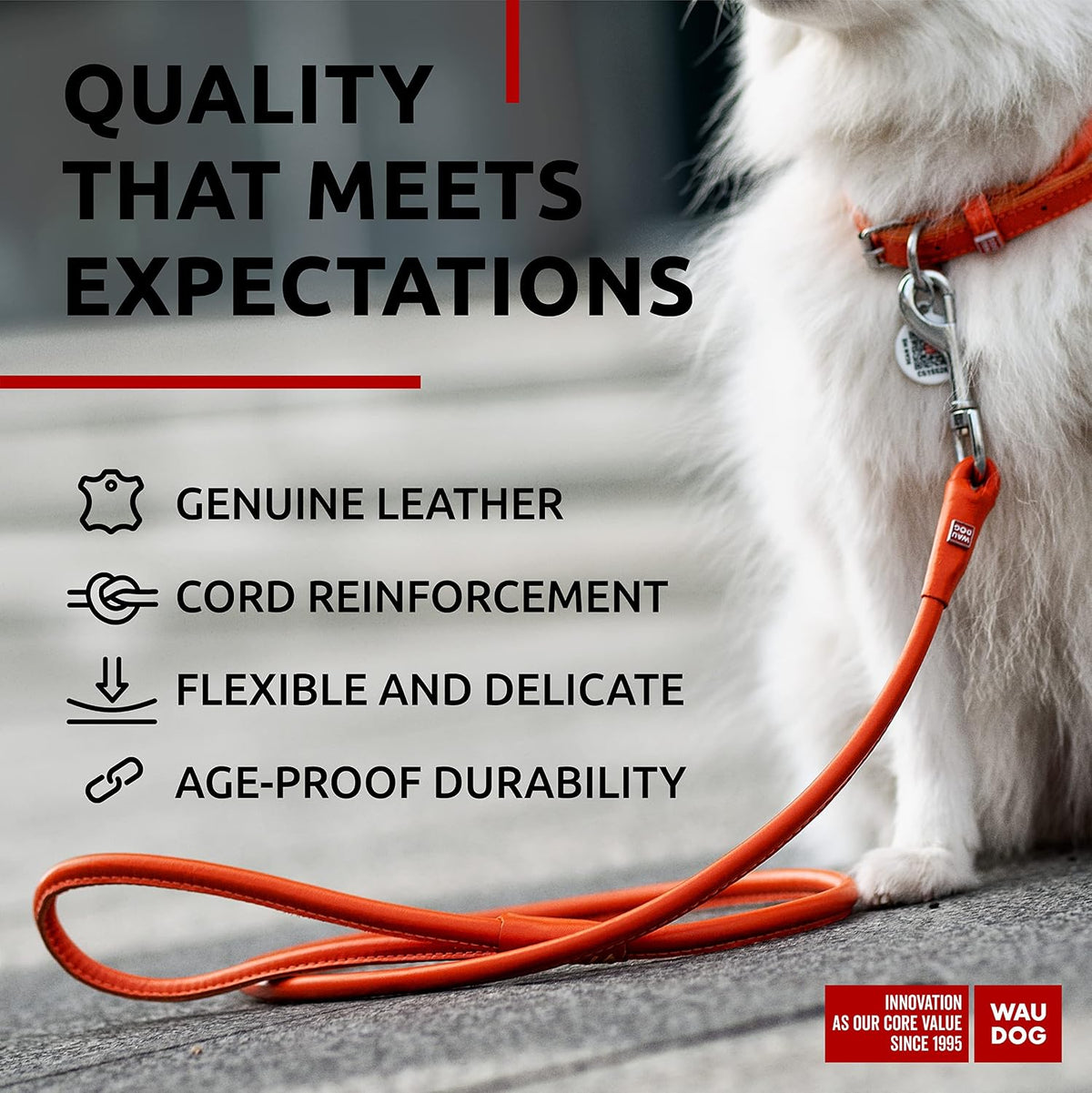 WAUDOG Rolled Leather Dog Leash 4Ft * 0.3 in for Small Medium - Orange / 4Ft * 0.3 in - image 3