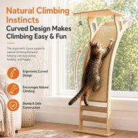 Cat Scratching Post with Large Window Perch - Medium - image 4