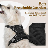 rabbitgoo Dog Harness No Pull with 2 Leash Clips, Adjustable Soft Padded, Reflective Oxford No Choke Pet Vest with Easy Control Handle for Puppy, Black, XS