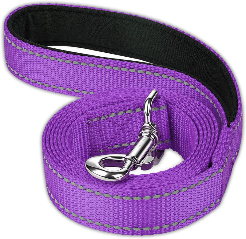 FunTags Reflective Nylon Dog Leash for Medium & Large Dogs - Purple / 4FT × 3/4in（1 pack）