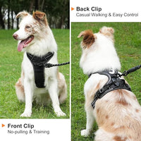 Taglory Light Up Dog Harness, Rechargeable No Pull Dog Vest with 3 Lightning Modes, Reflective Dog Harness with 2 Leash Clips & 4 Adjustable Slide Strips for Large Dogs, Black-Blue, L