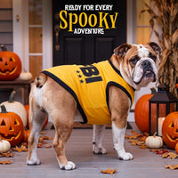 Parisian Pet Dog Halloween Costume - FBI / Large - image 2