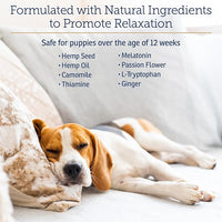 Rx Vitamins NutriCalm - Calming Care for Dogs with Valerian Root, Tryptophan, & Ashwagandha - Aids in Separation Anxiety Relief for Dogs and Stress Relief - Road Trip Essentials & Relaxant - 50ct