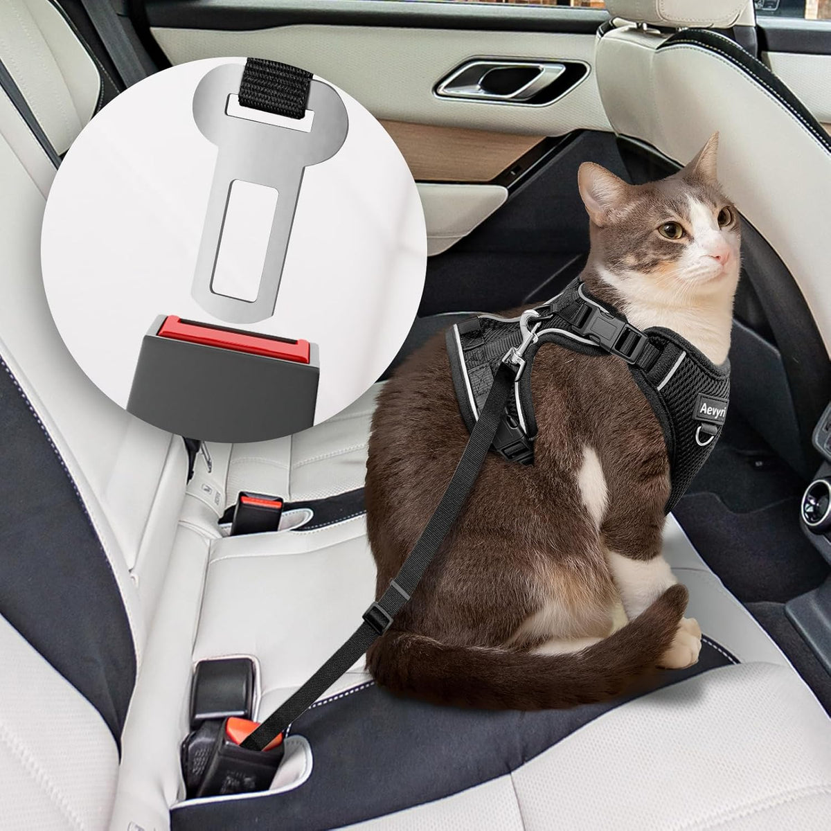 Cat Harness, Cat Harness and Leash for Walking - Black / M(7-12lb) - image 2