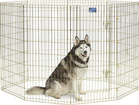 MidWest 30-Inch Exercise Pen, Single Door, 16 Sq Ft Play Area – Essentials for Dogs - Gold Zinc w/ Door / 48" H