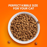 Iams IAMS PROACTIVE HEALTH Adult Sensitive Digestion & Skin Dry Cat Food with Real Turkey Cat Kibble, 3 lb. Bag