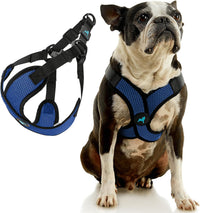 Gooby Comfort X Step-in Lite Harness, Choke-Free - X-Large (22-28") / Blue - image 2