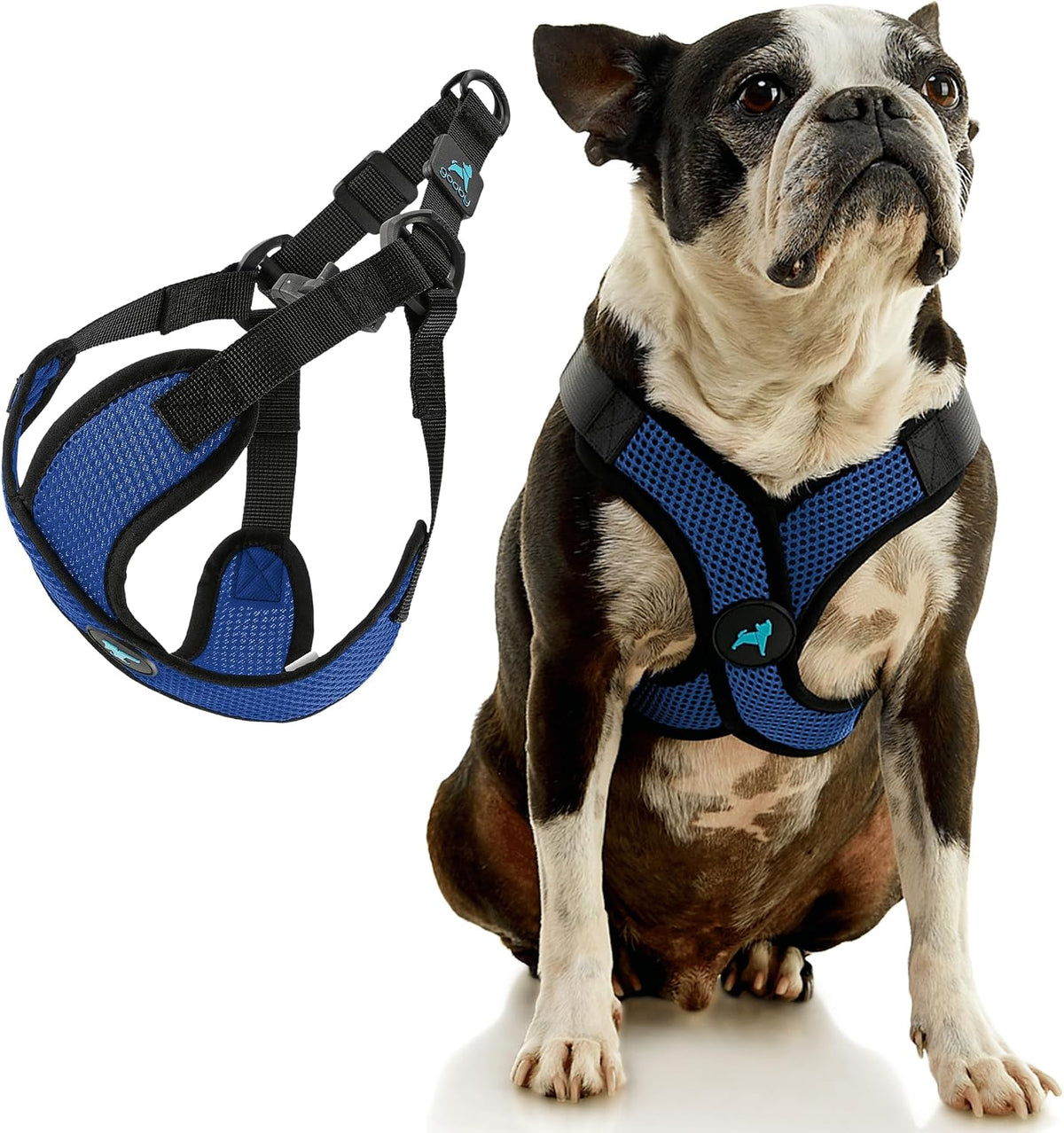 Gooby Comfort X Step-in Lite Harness, Choke-Free - X-Large (22-28") / Blue - image 2