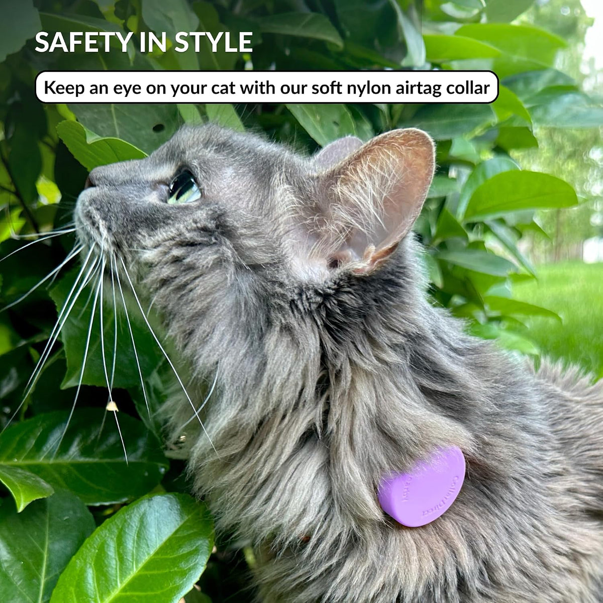 Tribal Aztec Cat Collar 2-Pack, Breakaway with Bell – Essentials for Cats - Violet, AirTag Holder, 6-7" - image 2