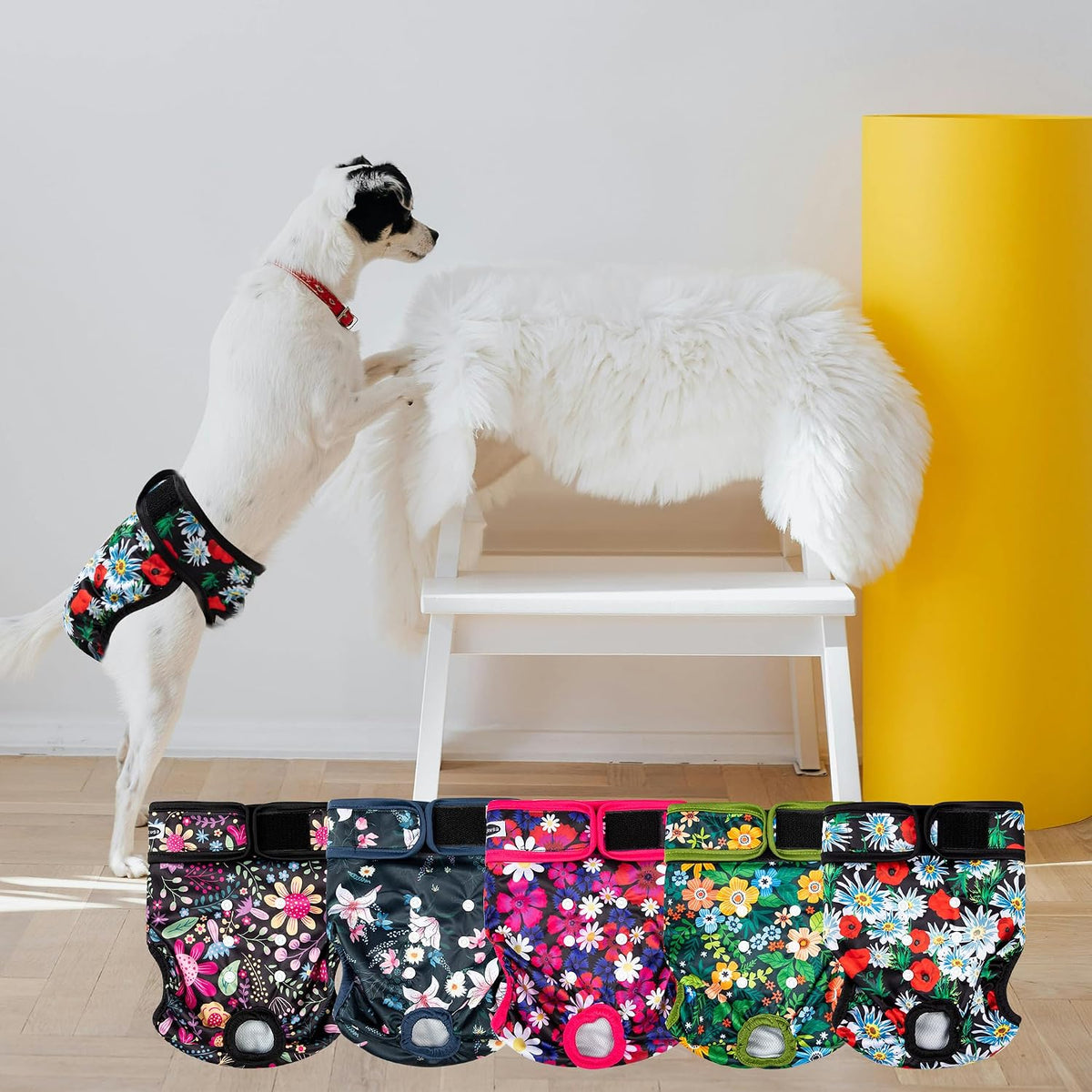 Tuiskusa Reusable Washable Dog Diapers Female - Flowers 5-Pack / XX-Large - image 2