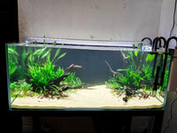 Azil Natural Aquarium Driftwood Root - Driftwood 10'' - 12'' - image 2