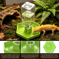 Reptile Water Dispenser Bowl for Bearded Dragon Tortoise – Essentials for Reptiles And Amphibians - Apple Green / S - image 4