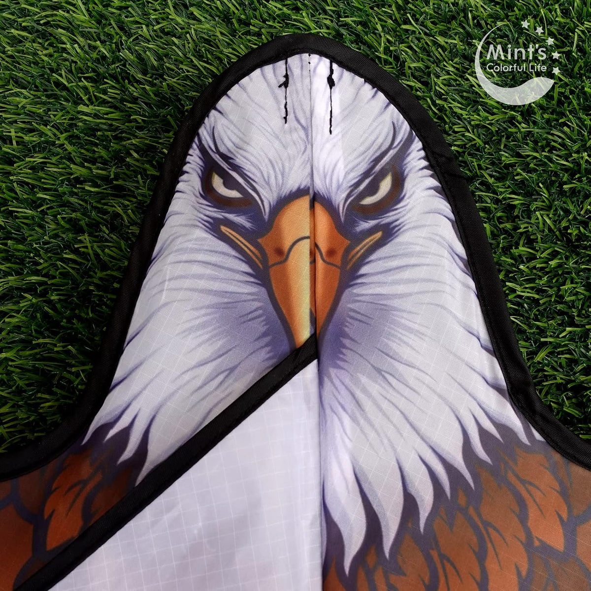 Bald Eagle Kite for Kids & Adults - Eagle Kite with 60" Wingspan - image 3