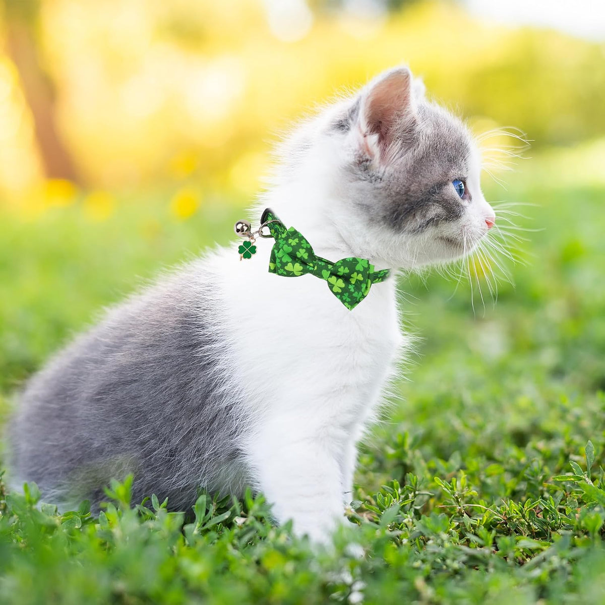 Fall Cat Collar with Bowtie - 7.5"- 10.5" / St. Patrick's Day - image 3