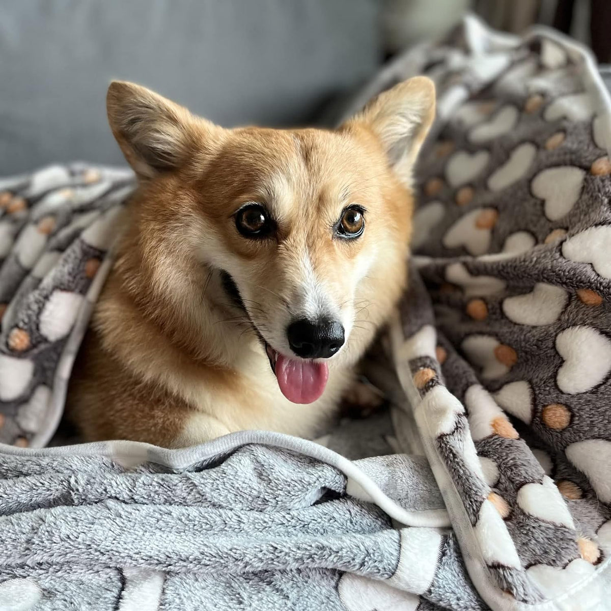 1 Pack 3 Puppy Blanket, Fleece Pet Small Dog Blanket for Puppy Cat, 40"x30" – Essentials for Dogs - Small(23"x15") (Pack of 2) / Multicolor - image 2