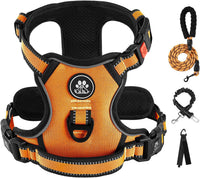 IVY&LANE No Pull Dog Harness for Medium Dogs - Orange / X-Large