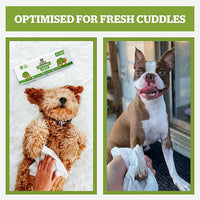 Pogi’s Dog Wipes Travel Packs – Hypoallergenic Pet Wipes for Paws, Body & Butt – Cleaning & Hydrating, Green Tea Scent, 240-Count