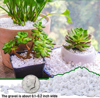 3lb Cactus Pea Gravel Rocks - 45LB / White Onyx - image 4